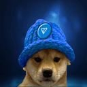 TON Dog WIF Hat