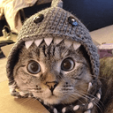 NALA