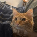 Scully