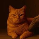 BILLI