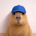 KEVSZN