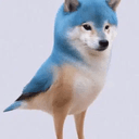 Dogebird