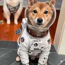 Tsuki