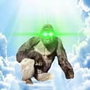 HARAMBE