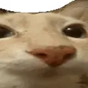 Idk