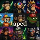 aped