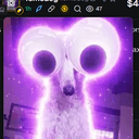 fomodog