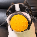 POPDOG