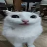 NANU