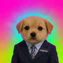 STARTPUP