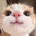 HCAT