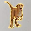Daptor