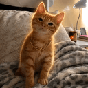 SIMBA