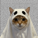 ghostcat
