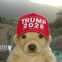 Jotchu2028