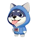 DOGIZ