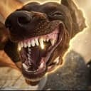 Crog