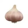 Garlic™