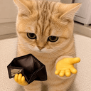 CASHLESSCAT