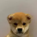 WIFOUT
