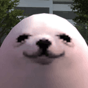 eggseal