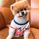 POM