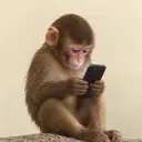 fone