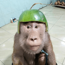 Melon Monk