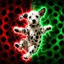 spot