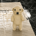 Wuf
