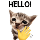 hello