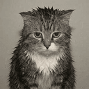 MEOWL