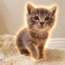 KYLO