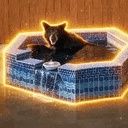 BIP