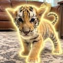 Mowgli