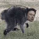 Elonthy