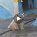Umka