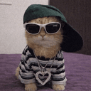 SWAG