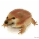 Drog