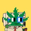 BNKScreen
