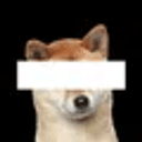 ▇▇▇