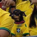 PITOCO