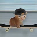 conboard