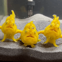 FrogFish