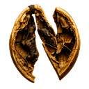 NUTSENSE
