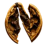 NUTSENSE