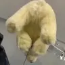 TYLER