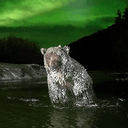 CHILLGRIZZLY