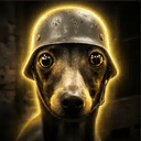 PTSD