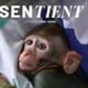 Sentient